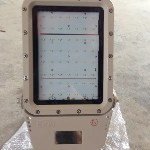 Đèn pha Led phòng chống cháy nổ EEW 100w BZD129-100