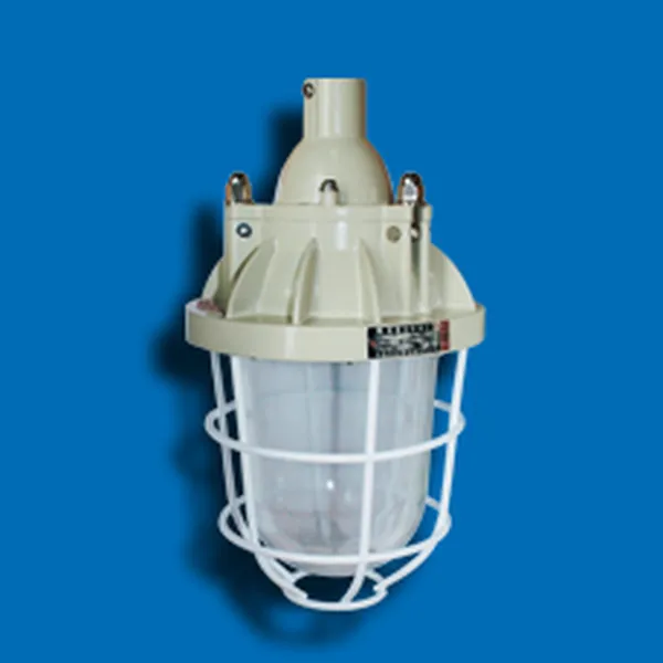 Đèn phòng chống cháy nổ hiệu EEW BCD250 bóng cao áp Philips HPI-Plus 250W