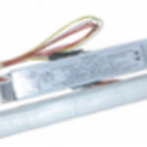 PNE 300A-T10 Pin bộ nguồn lưu điện cho đèn sạc chiếu sáng sự cố khẩn cấp Emergency dùng trong PCCC Emergency power pack c/w 2hr 12V 4.5Ah NiCd/NiMh batteries to backup LED luminaires (upons testing)