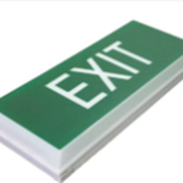 TBJ 301 W/P  Đèn Exit chỉ lối thoát hiểm chiếu sáng khẩn cấp PCCC Weatherfroof box type exit sign  c/w 2hrs nickel cadmium batteries & 1W LED. (IP 65).