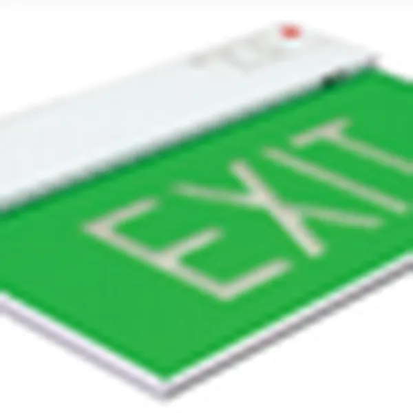 TEX 300 Đèn Exit chỉ lối thoát hiểm chiếu sáng khẩn cấp PCCC Slim type emergency exit sign c/w LED light source & 2hrs nickel cadmium batteries (with Reccess braket)