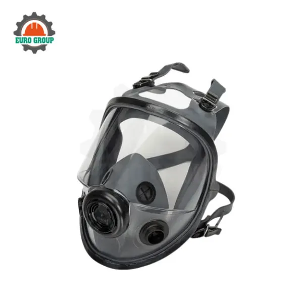 Mặt nạ phòng độc North 54001