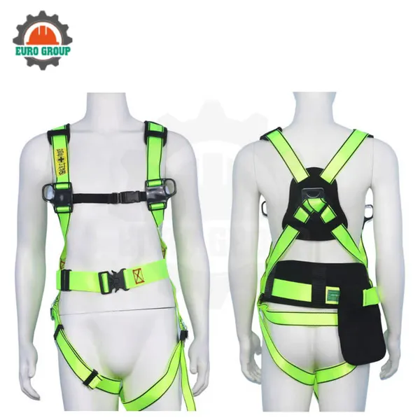 Dây đai toàn thân BBD4 2 móc dây Polyester