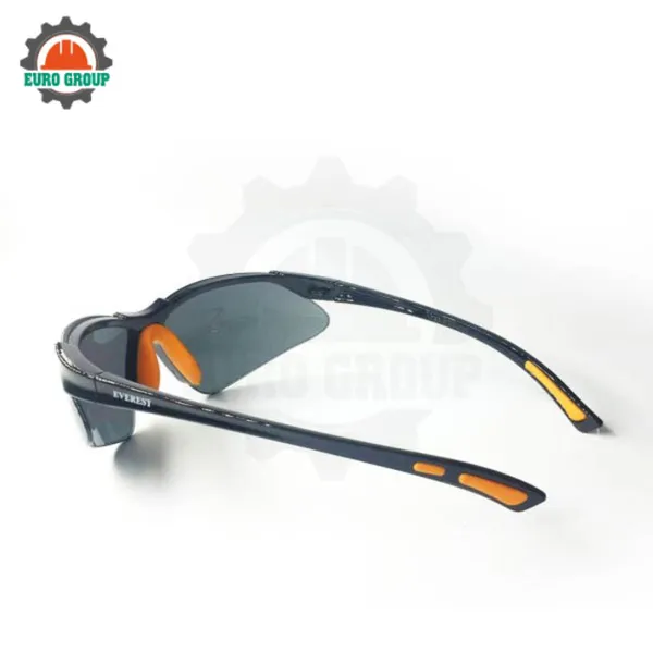 Kính bảo hộ Everest EV-302