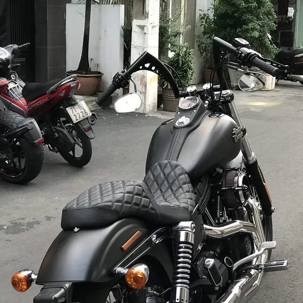 Custom Seat Cover for Harley-Davidson