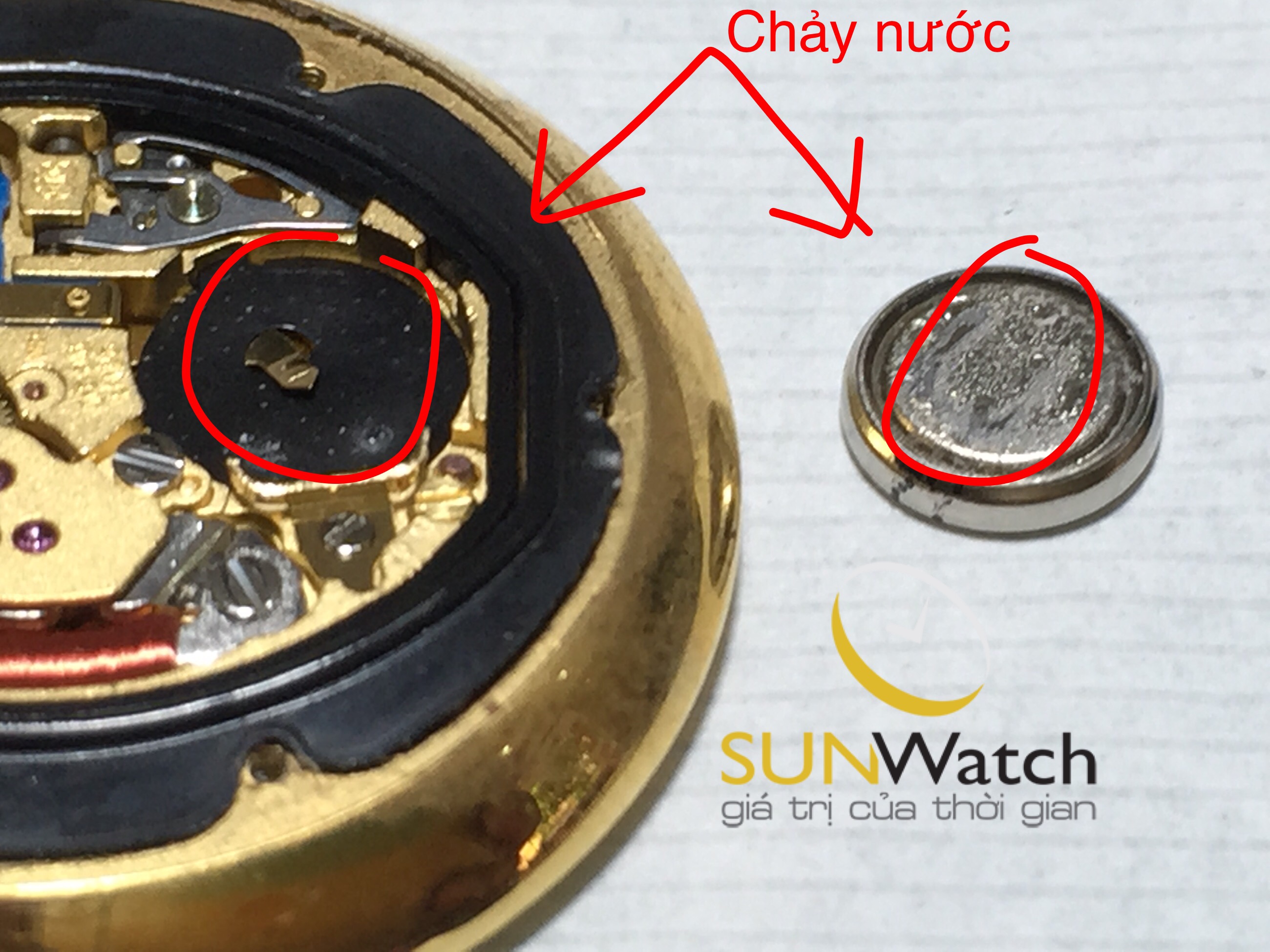 pin đồng hồ bị chảy nước pin đồng hồ bị chảy nước