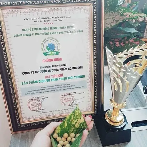 Bộ sản phẩm Viên đặt phụ khoa Hoàng Sơn gồm 1 lọ/5 viên