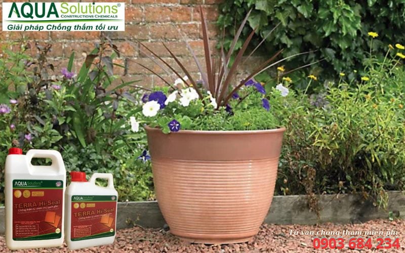 Giải pháp chống thấm bình chậu đất nung hiệu quả Giải pháp chống thấm bình chậu đất nung hiệu quả
