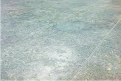 da-tu-nhien-bi-lo-nho-ran-nut da-tu-nhien-bi-lo-nho-ran-nut