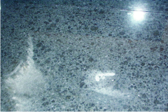 da-tu-nhien-bi-an-mon-san-sui da-tu-nhien-bi-an-mon-san-sui