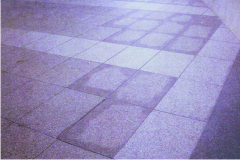 da-tu-nhien-bi-tham-o da-tu-nhien-bi-tham-o