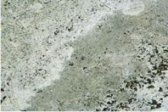 da-tu-nhien-bi-moc-trang da-tu-nhien-bi-moc-trang