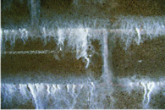 da-tu-nhien-bi-moc-trang da-tu-nhien-bi-moc-trang