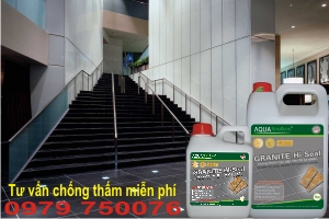 Chong-tham-cho-da-hoa-cuong Chong-tham-cho-da-hoa-cuong