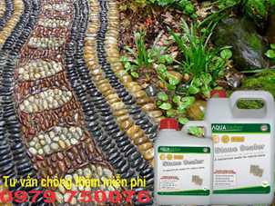 Chống thấm cho đá cuội một cách tự nhiên Chống thấm cho đá cuội một cách tự nhiên