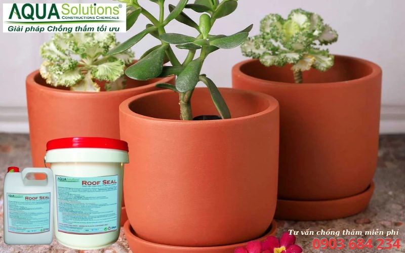 Vì sao cần chống thấm bình chậu đất nung Vì sao cần chống thấm bình chậu đất nung