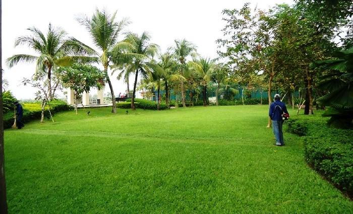 cho-thue-biet-thu-riviera-an-phu-quan-2