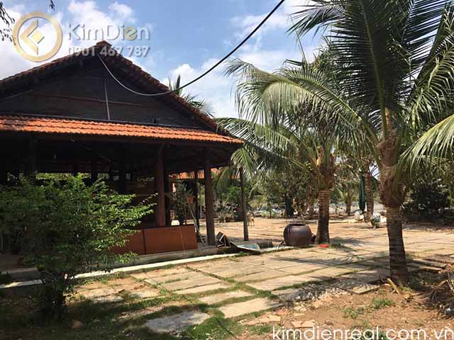 bán đất bình khánh cần giờ