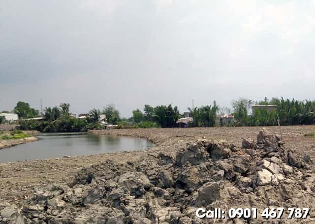 bán đất cần thạnh cần giờ