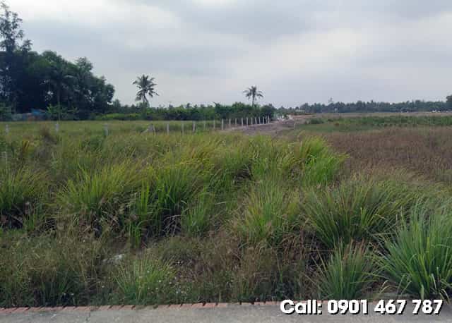 bán đất huyện cần giờ