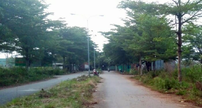 bán đất thời báo kinh tế