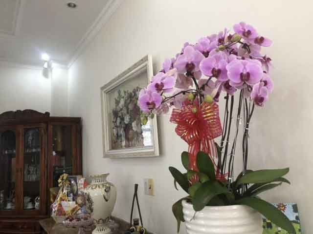 bán nhà phường thảo điền quận 2