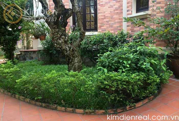 ban biet thu kieu phap