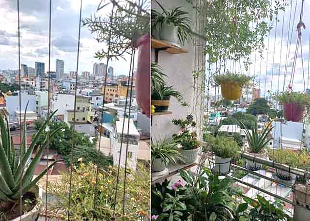 ban can ho 3 phong ngu chung cu d5 binh thanh (2)