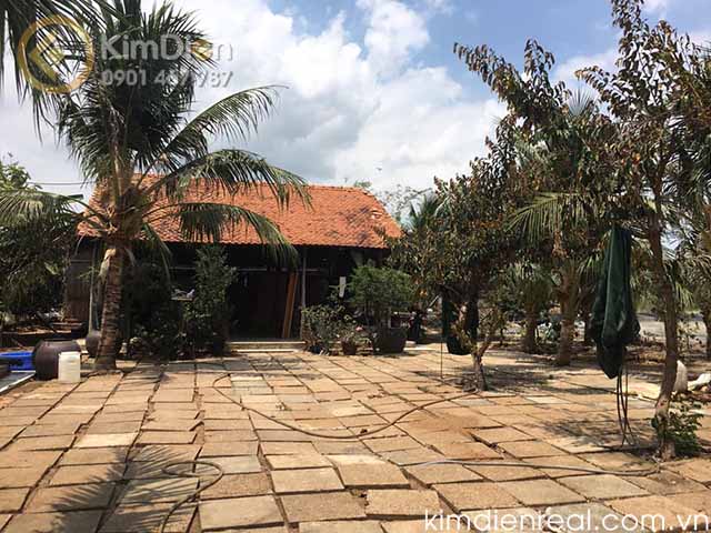 ban dat binh khanh can gio 1.5ha gia re
