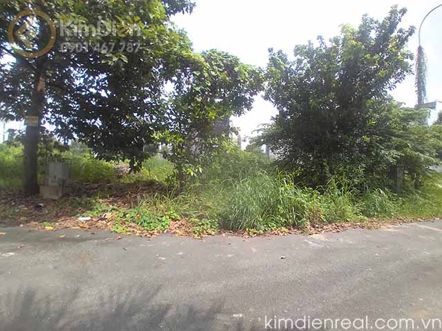 ban dat du an huy hoang thanh my loi 15x20m