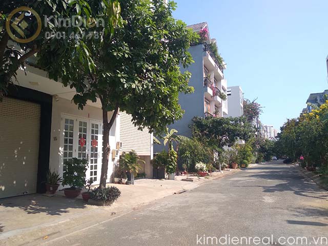 ban dat duong vu tong phan gan truong nguyen hien