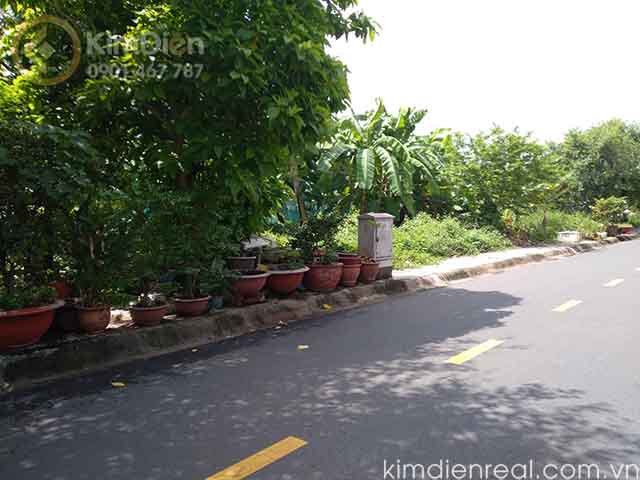 ban dat khu thu thiem villa thanh my loi (2)