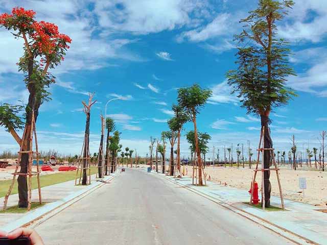ban dat nen nhon hoi quy nhon