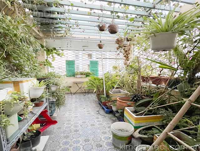 ban nha duong co giang quan 1 (3)