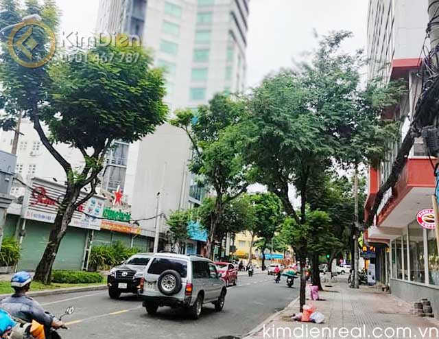 ban nha duong nguyen binh khiem quan 1