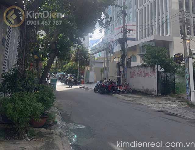 ban nha duong nguyen dang giai thao dien