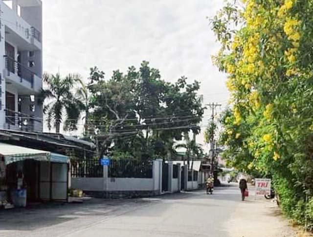 ban nha duong nguyen thi dinh phuong thanh my loi