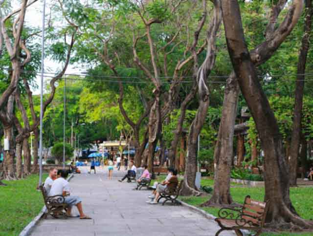 ban nha gan cong vien le van tam quan 1