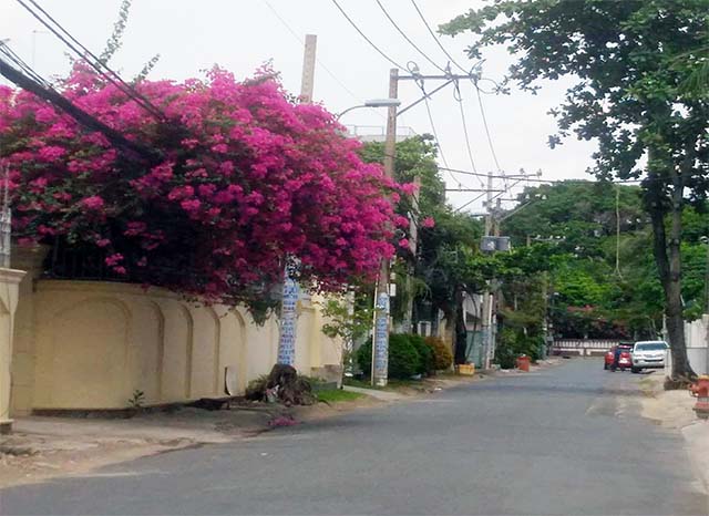 ban nha khu thao dien quan 2 co hop dong thue