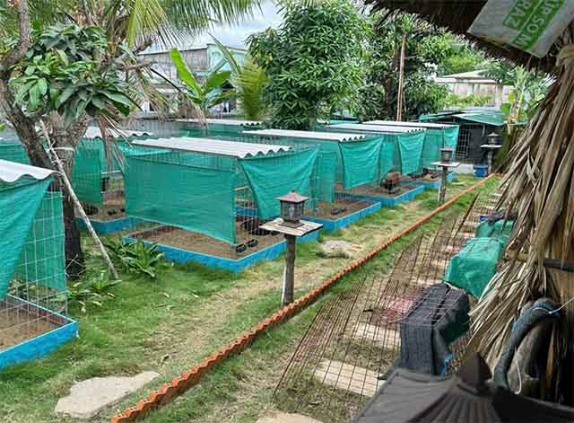 ban nha vuon long phuoc quan 9 (3)