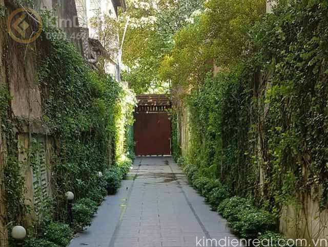 ban sieu biet thu noi that go quy cao cap quan 3 chinh chu (3)