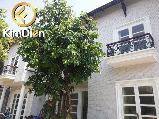 ban-biet-thu-thao-dien-moi-dep