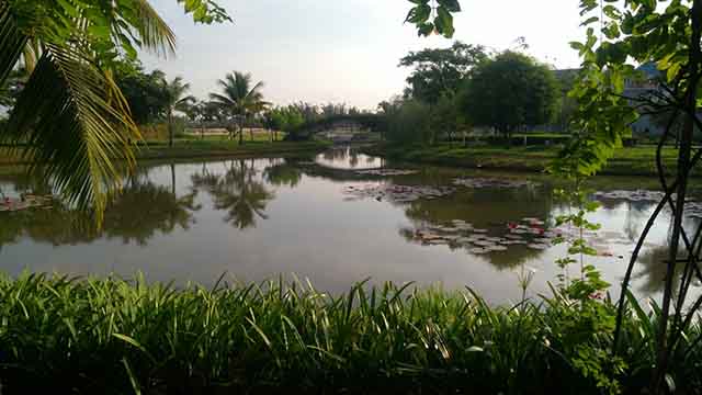 cho thue nha co noi that park riverside quan 9 (2)