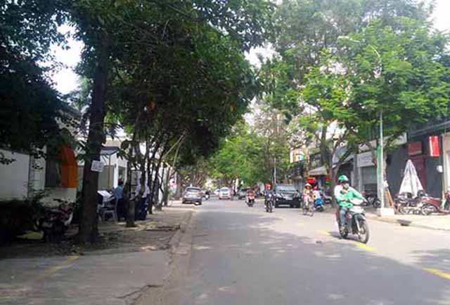 cho thue nha nguyen can phuong thao dien quan 2