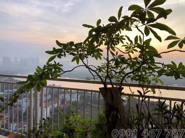 dự án căn hộ xi thao điền quận 2