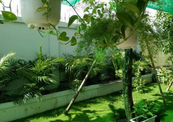 thue biet thu villa park