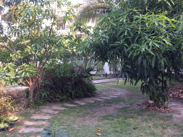 cho-thue-biet-thu-thao-dien-quan-2