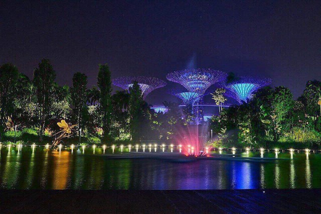 vườn cây ánh sáng