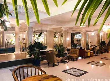 Bán Biệt Thự Thảo Điền Diện Tích Hơn 500m2 Đất