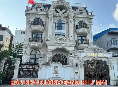 Bán nhà đường Đặng Như Mai Quận 2